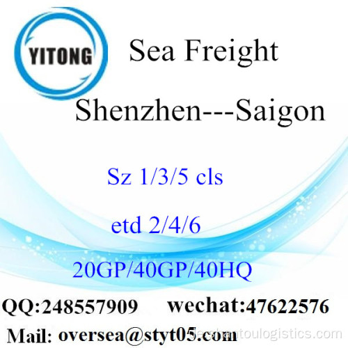 Shenzhen Port Sea Freight Versand nach Saigon